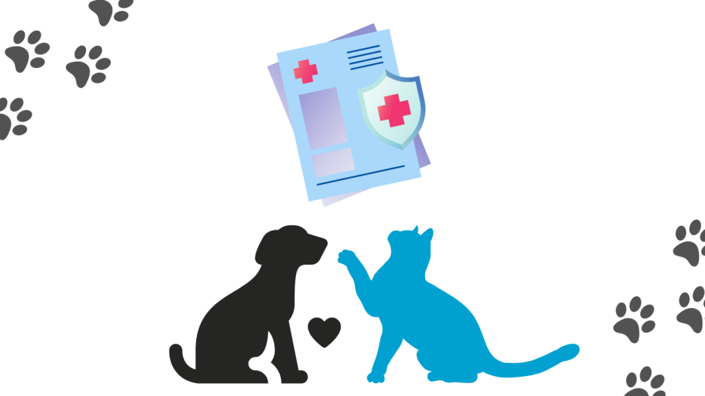 Tipos de Planos de Saúde para pets